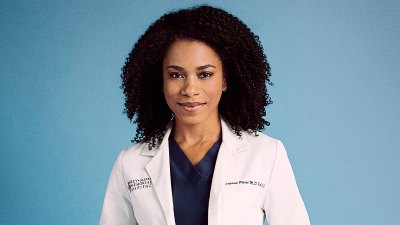 أكبر حالات الخروج من مسلسل Grey’s Anatomy على مر السنين - من ترك العمل؟ من طُرد؟ ومن سيعود؟ - 118 كيلي ماكرياري