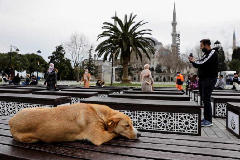 A stray dog rests as Muslims wait the time to eat their iftar (breaking fast) meals in front of the Ottoman-era Sultanahmet mosque, also known as the Blue Mosque, on the first day of the holy fasting month of Ramadan in Istanbul, Turkey April 13, 2021. REUTERS/Umit Bektas