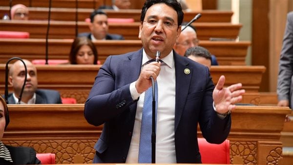 برلماني: مصر تتعرض لحرب شائعات تستهدف التشكيك في إنجازاتها ومواقفها