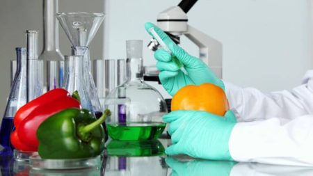 تخصيص إدارة المختبرات البلدية في 5 أمانات لتعزيز السلامة العامة