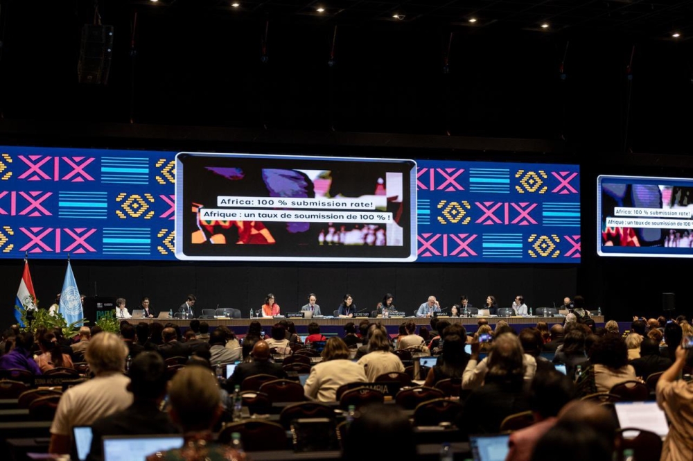 الجمعية السعودية للمحافظة على التراث عضوًا في لجنة التقييم باليونسكو