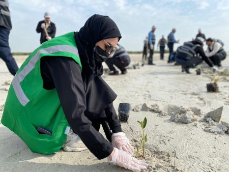 “نبض الأرض”.. مبادرة لتعزيز الوعي المجتمعي بتحديات البيئة والتصحر
