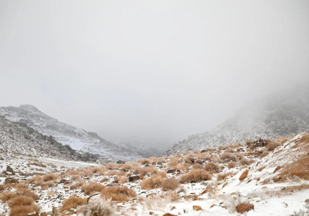 طقس الصباح الباكر.. أتربة مثارة على أجزاء من 6 مناطق