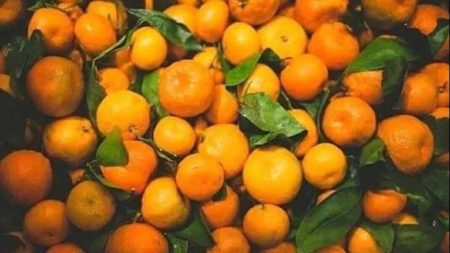 ماذا يحدث لجسمك عند تناول واحدة من اليوسفي ؟