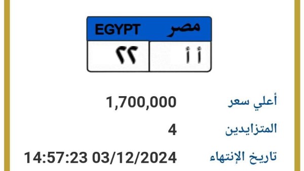 بيع لوحة مميزة وصل سعرها مليون و700 ألف جنيه .. تفاصيل