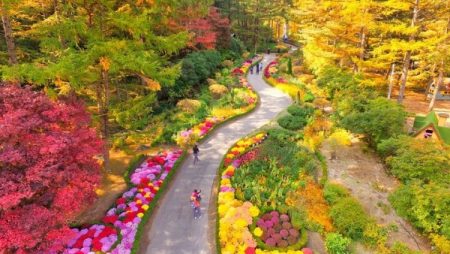 كوريا الجنوبية.. حديقة “هدوء الصباح” تتزين بأكثر من 30 ألف مصباح