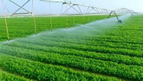 استشاري التنمية المستدامة: الاستثمار الزراعي يحتاج القطاع الخاص