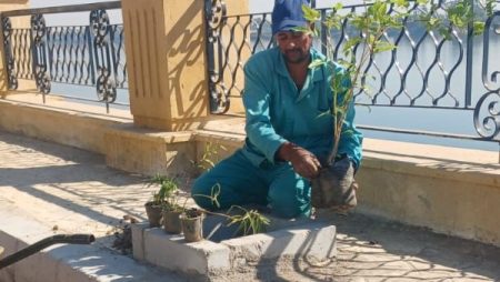 زراعة 55 شجرة زينة و1000 شتلة بكورنيش أرمنت العلوي بالأقصر |صور