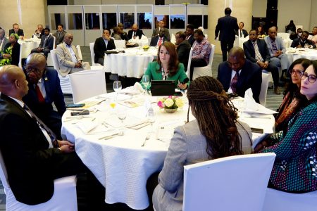 مصر تسابق لمنصب نيابة رئاسة المفوضية الأفريقية