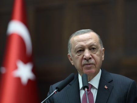 أردوغان يتعهد بتقديم الدعم لتحقيق الاستقرار في سوريا