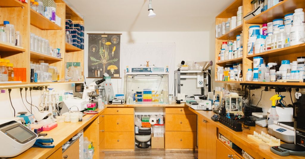 تعرف على مخترق النباتات الذي يصنع زهورًا لم يسبق رؤيتها (أو رائحتها) من قبل