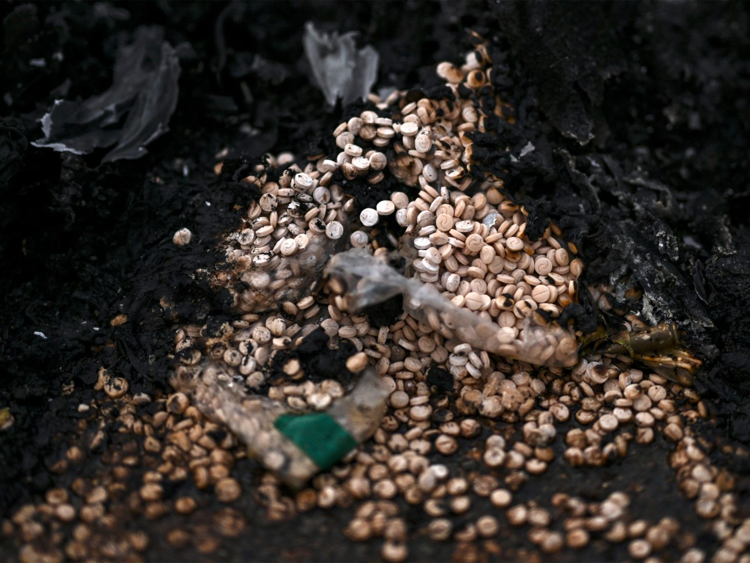 بعد انهيار نظام الأسد.. مصانع الكبتاغون على مرأى الجميع