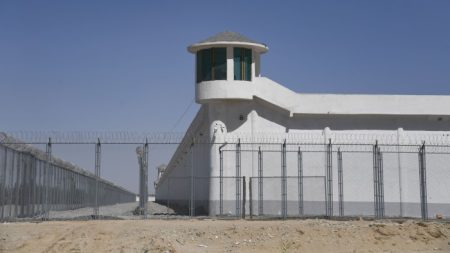 القواعد الجديدة تزيد من تركيز الاستثمار على العبودية الحديثة