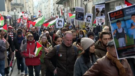 مظاهرة في باريس للتضامن مع فلسطين