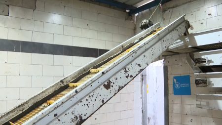 المجاعة في غزة تتفاقم في ظل الحرب والحصار