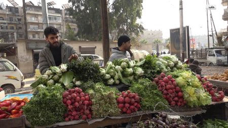 عودة تدريجية للحياة في أحياء مدينة حلب وأسواقها