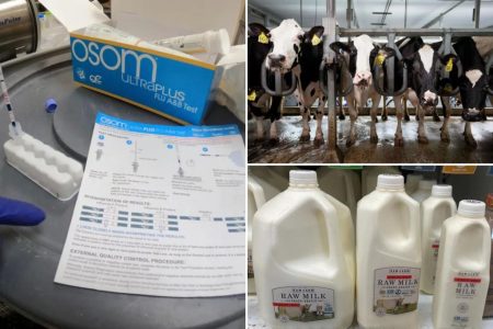 أمرت وزارة الزراعة الأمريكية باختبار الحليب على مستوى البلاد لأنفلونزا الطيور لوقف الفيروس