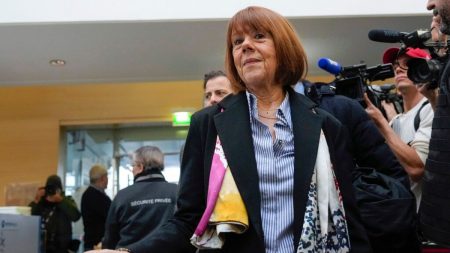 استطلاع للرأي الفرنسي يختار جيزيل بيليكو شخصية العام