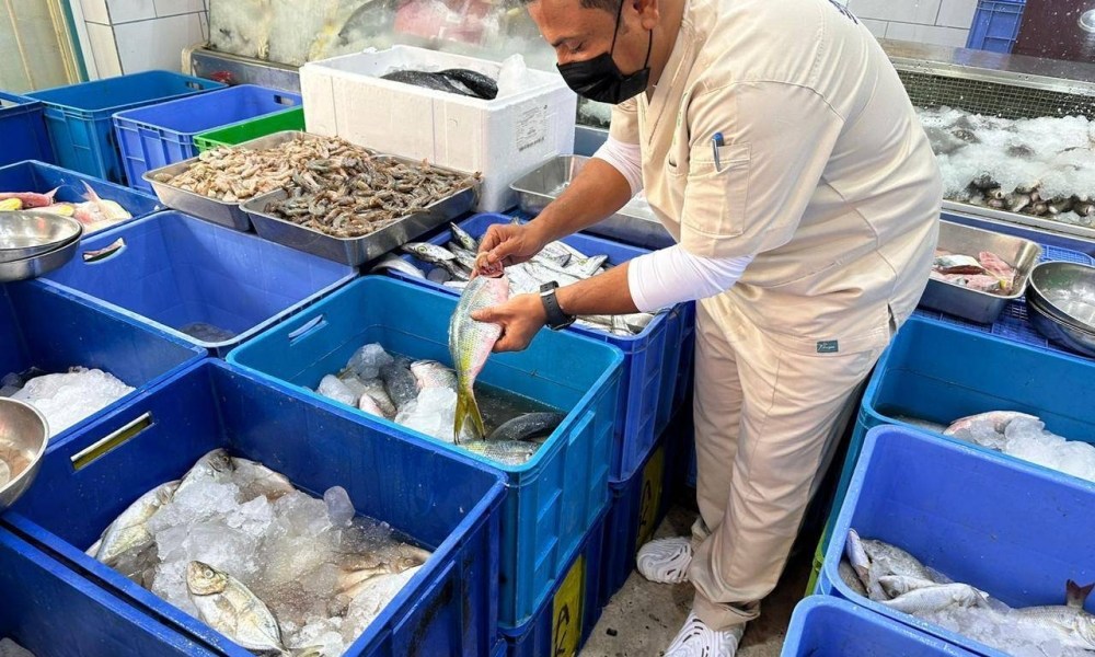 خميس مشيط: مصادرة 600 كيلوغرام من الأسماك الفاسدة