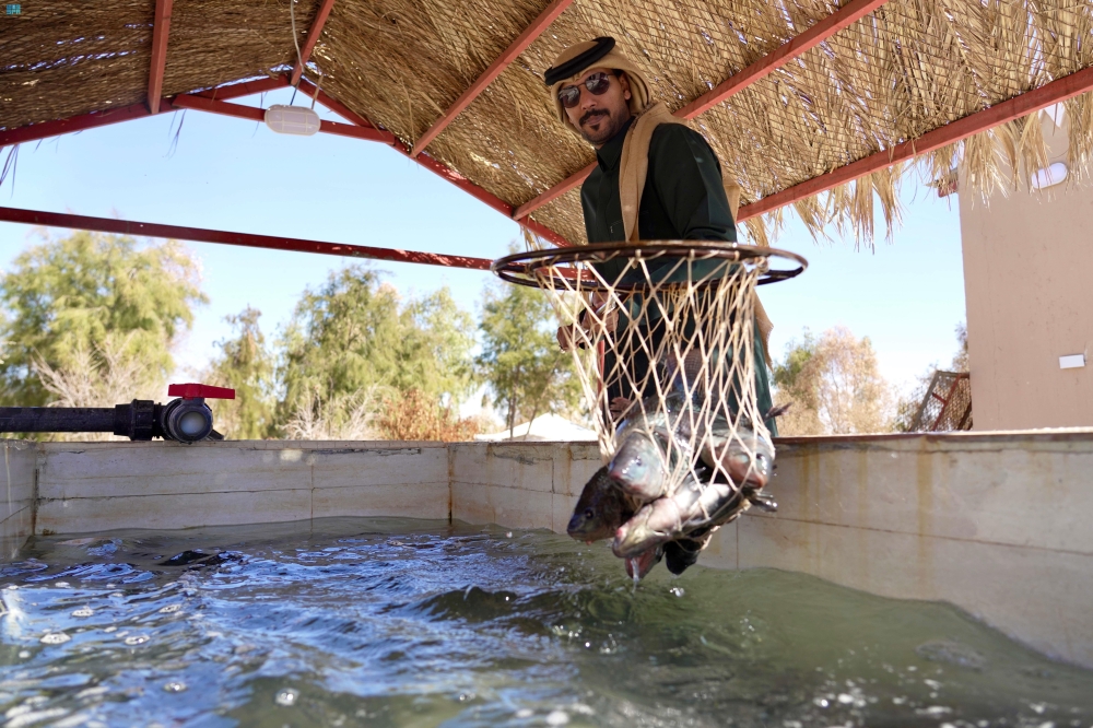 شاهد| المزارع الريفية وجهة سياحية جديدة بطابع تراثي في رفحاء
