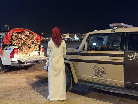 المدينة المنورة.. ضبط مخالف لنظام البيئة بحوزته حطب محلي للبيع