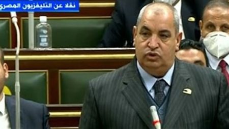 برلماني مُثمنًا مشروع تحديث بيانات المنشآت التموينية بـ«GIS»: يضمن وصول الدعم لمستحقيه