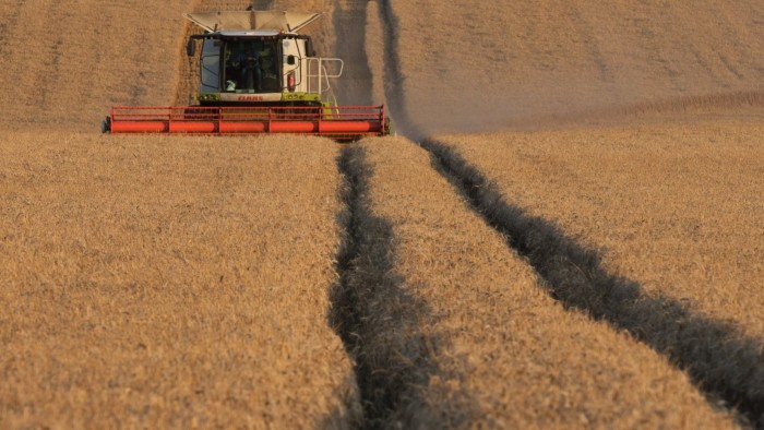 كيفية مساعدة الزراعة في المملكة المتحدة على إهدار كميات أقل من الطعام