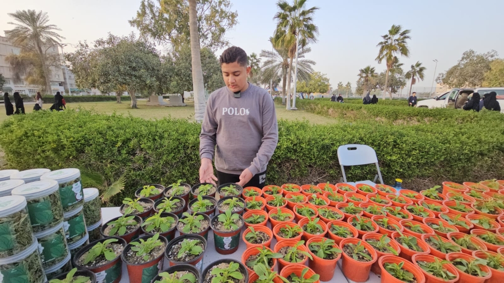 خالية من السعرات الحرارية.. إنتاج 35 ألف شتلة “ستيفيا” في مزرعة بالأوجام