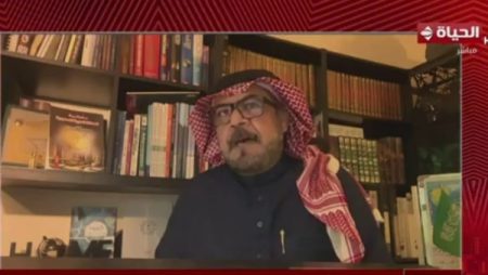 مصر قدمت خطة واقعية تحفظ حق الشعب الفلسطيني.. فيديو