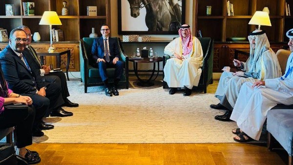 توفير كافة أوجه الدعم للاستثمارات القطرية في مصر