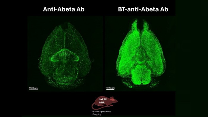 يبحث التكنولوجيا الحيوية وراء دواء الزهايمر عن شركاء لتكنولوجيا حاجز الدم في الدماغ