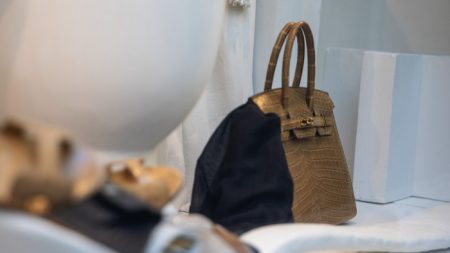 يتفوق هيرميس على المنافسين بنهاية قوية حتى عام 2024