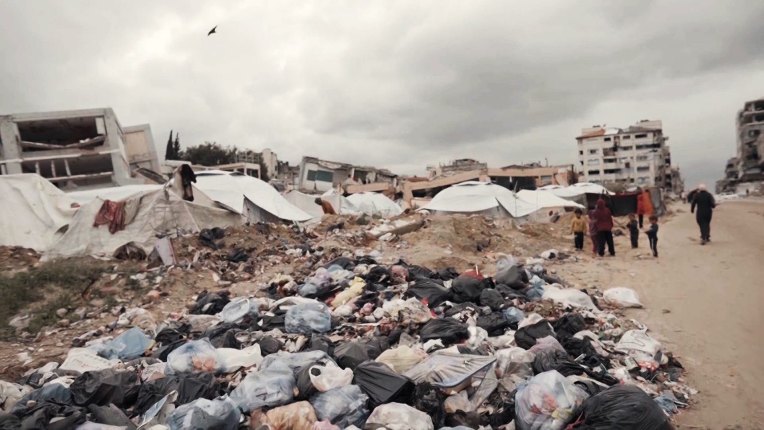 تحذير من كارثة صحية في غزة