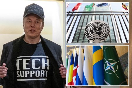 يبدو أن إيلون موسك يدعمنا الانسحاب من الناتو والأمم المتحدة