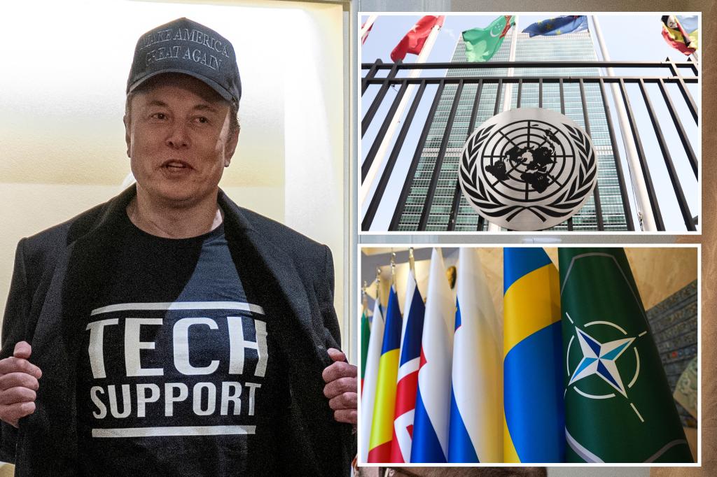 يبدو أن إيلون موسك يدعمنا الانسحاب من الناتو والأمم المتحدة