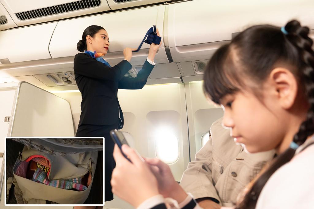 أذهل الراكب بعد أن استشهد مضيف الطيران بحكم “غير مكتوبة” في منتصف الرحلة-وحتى TSA لا يوافق على: “التنازل”