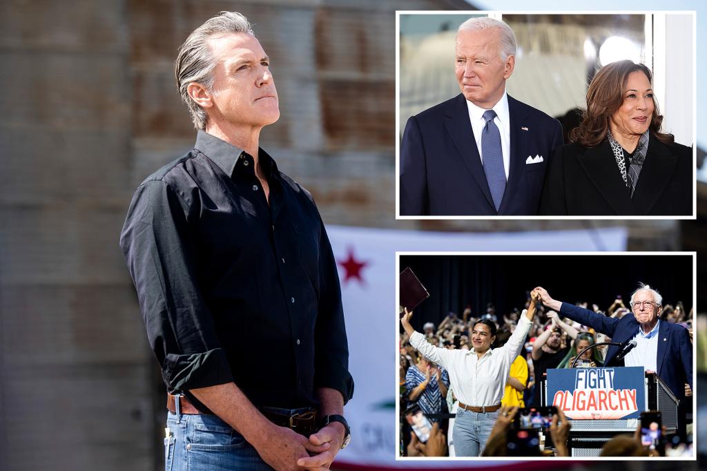 حاكم نيوزوم غير متأكد من مستقبل الحزب DEM: “لا يزال يكافح مع ذلك”