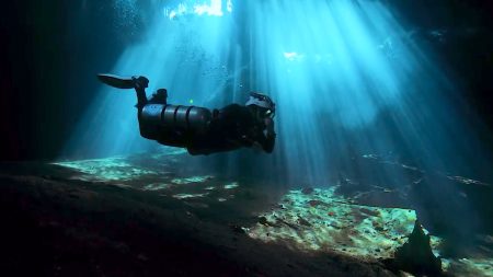 سجن برلماني في مدغشقر عشر سنوات بتهمة تهريب السلاحف المشعة