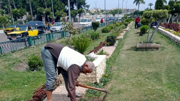 محافظ الإسكندرية يوجه برفع كفاءة المسطحات الخضراء لتحقيق تنمية جمالية مستدامة