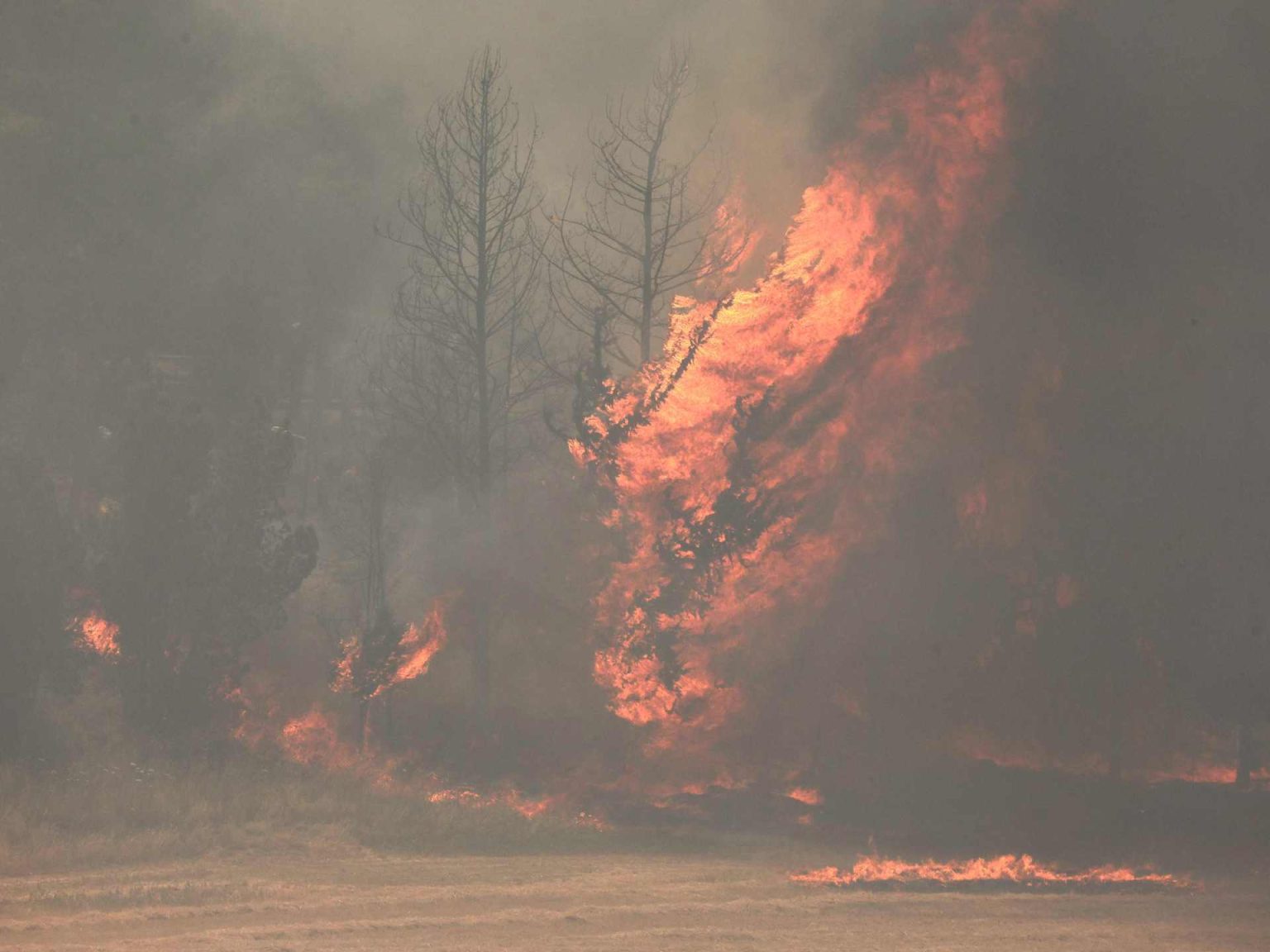 إصابات في حرائق بالقدس وإسرائيل تتجه لطلب المساعدة