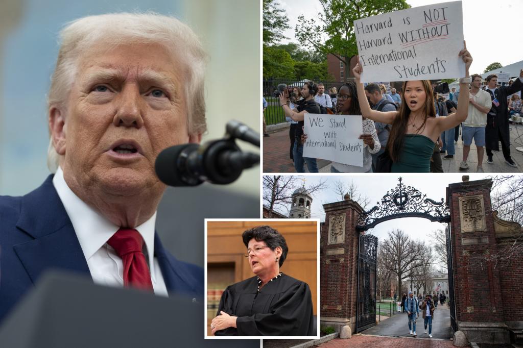 القاضي الفيدرالي يمنع مؤقتًا ترامب من حظر طلاب جامعة هارفارد الدولية