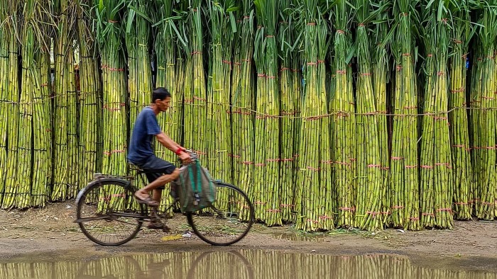 توجيه أسعار السكر بيد غير مرئية حلوة