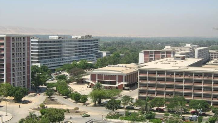 قسم طب المناطق الحارة بجامعة أسيوط ينظم ورش عمل متخصصة ..غدا