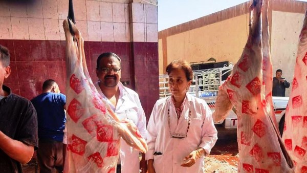 نحر 3169 رأس ماشية بإشراف بيطري خلال عيد الأضحى بأسوان