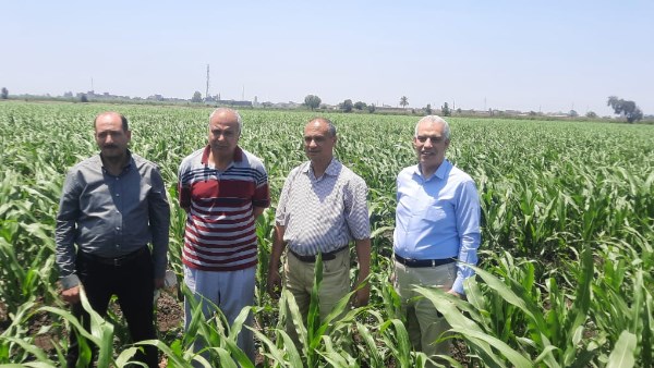 الزراعة تتابع برامجها البحثية على مستوى الجمهورية خلال إجازة العيد