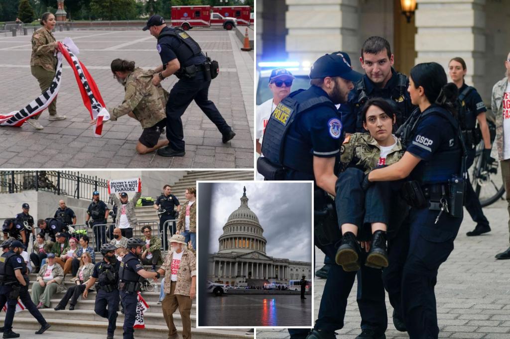 تعتقل شرطة الكابيتول 60 متظاهرين مخضرمين لمكافحة الجليد يخترقون حاجز الكابيتول