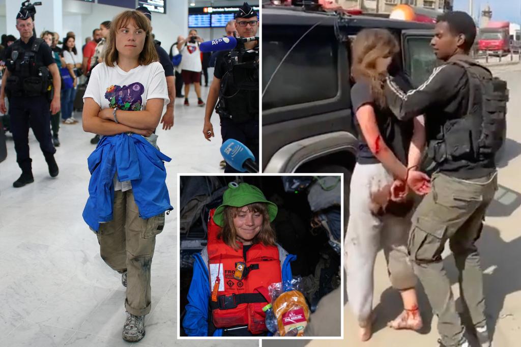 رفضت Greta Thunberg و 'Selfie Yacht' PALS مشاهدة فيلم الرعب في Massacre في 7 أكتوبر: إسرائيل