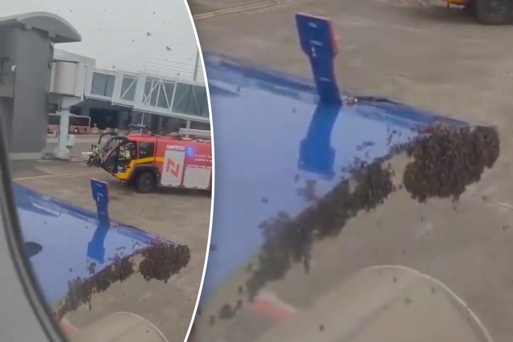 سرب هائل من تأخير النحل المستنفد كما دعا رجال الإطفاء