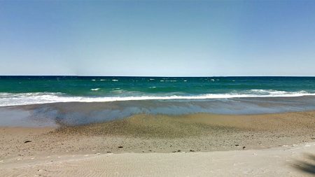 تم العثور على سيرفر الأسترالي المفقود على حية على أميال الجزيرة من الشاطئ بعد البحث