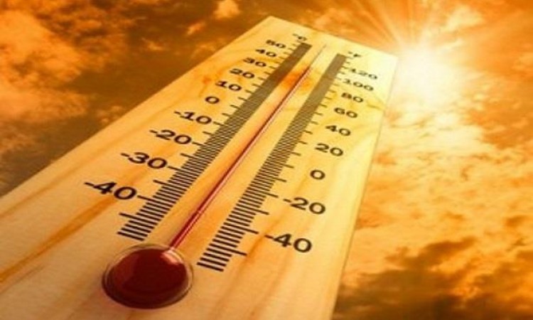ما الفرق بين ضربة الشمس والإجهاد الحراري والضربة الحرارية؟
